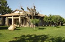 Private Agricultural Farm Tour & Leisure Time in Ancient Olympia