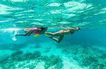 Half-Day Snorkel Sail Tour with Caribbean Lunch