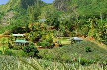 Moorea Aito 4WD Safari Tour - Half day 