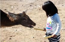 Beijing Badaling Wildlife Park & Juyongguan Great Wall Private Tour