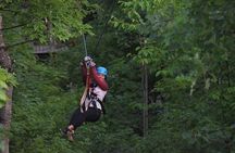 Wildman Zip Line Tour