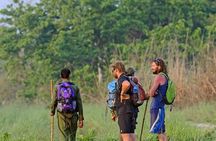 3-Day All Inclusive Chitwan Jungle Safari Tour From Kathmandu