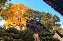 Private Tour of Shanghai Highlights and Zhujiajiao Water Town in One Day
