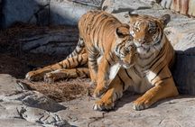 Tampa's ZooQuarium Admission 