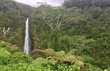 Heavenly Hamakua: From Kona
