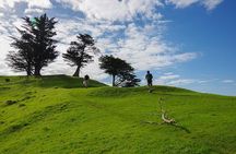 Half-Day Volcano Tour from Auckland