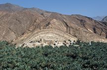 Cool and Green Jabal Akhdar Tour from Muscat