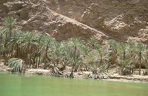 Coastal Tour and Wadi Hike from Muscat