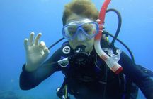 Diving for beginners by boat from Puerto Colon
