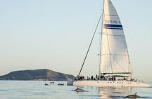 Day Catamaran Trip: Cap des Freus and Llevant Natural Park