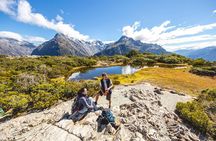 Routeburn Track Day Hike from Queenstown (Privately Guided)