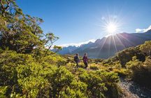 Routeburn Track Day Hike from Queenstown (Privately Guided)