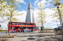 City Sightseeing Reykjavik Hop-On Hop-Off Bus Tour: 24 or 48-Hour
