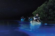 Overnight Bio Bay Kayak Tour in Vieques Island
