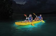 Overnight Bio Bay Kayak Tour in Vieques Island
