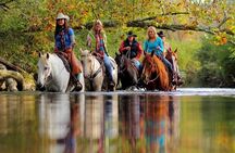 Georgia Horseback Ride with Wine Tasting