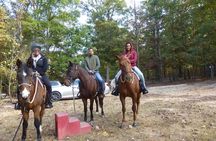 Georgia Horseback Ride with Wine Tasting
