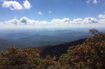 Bartram Trail Hike plus Wine Tasting