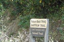 Bartram Trail Hike plus Wine Tasting