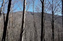 Standing Indian Mountain Hike plus Wine Tasting