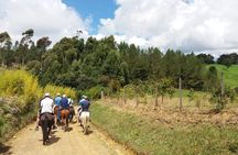 Guatape Horseback Andes Paradise with El Penol Rock