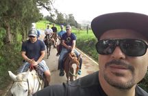 Best Horseback Adventure from Medellin