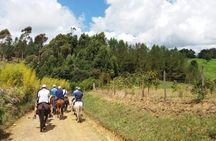 Best Horseback Adventure from Medellin