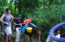 The Chagres Challenge - a full day jungle expedition from sunrise to sunset