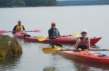 Oyster Farm & Tasting Sea Kayak Tour in Casco Bay