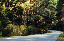 Circuito Chico Excursion in Bariloche (Short Circuit)
