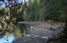 Excursion to San Martin de los Andes via 7-lake Circuit, from Bariloche