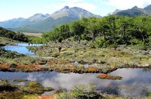 Tierra del Fuego National Park with Lapataia Bay from Ushuaia