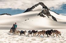 Helicopter Glacier & Dog Sledding Adventure Tour