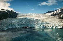 Bear Glacier Scenic Signature Flight
