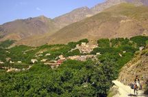 Atlas Mountain Easy Guided Walking Tour from Marrakech