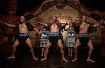 Auckland Māori Culture Experience - Private Tour