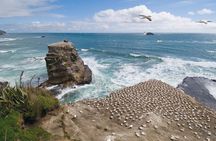 Coast to Coast Private Eco Tour