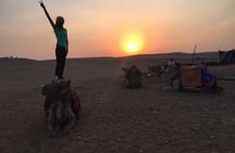 Camel Ride at Giza Pyarmids During Sunrise