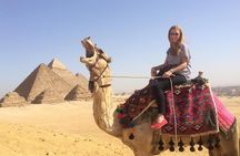 Day Tour To Giza pyramids, sphinx & Sakkara & Memphis & Carpet school.