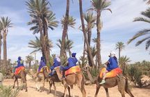 Camel Ride Near To Marrakech