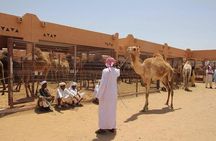 Private Tour: Full Day Al Ain City Tour From Dubai