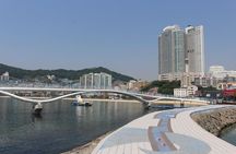 Busan Shore Excursion Tour ( Return to the Cruise Guaranteed )