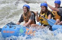 Browns Canyon Intermediate Rafting Trip Half Day
