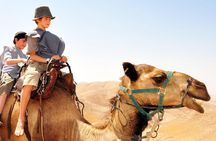 GoKEDEM Masada, DeadSea Camel Ride & Beduin Feast Tour From Tel Aviv