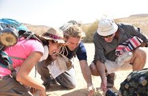 GoKedem 5-Day Private All-Inclusive Cross-Israel Adventure