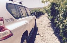 GoKedem 5-Day Private All-Inclusive Cross-Israel Adventure