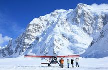 Grand Denali Flightseeing tour from Talkeetna