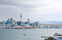 Auckland City Highlights, Afternoon Piha Beach & Rainforest Tour
