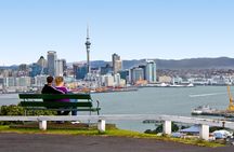 Auckland City Small-Group Morning Discovery Tour