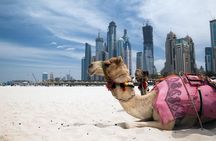 Full Day Dubai Tour with Lunch and Entry to Burj Khalifa 